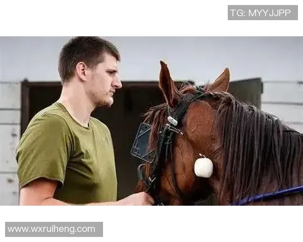 马刺成功复仇尼克斯约基奇伤情对球队影响深远