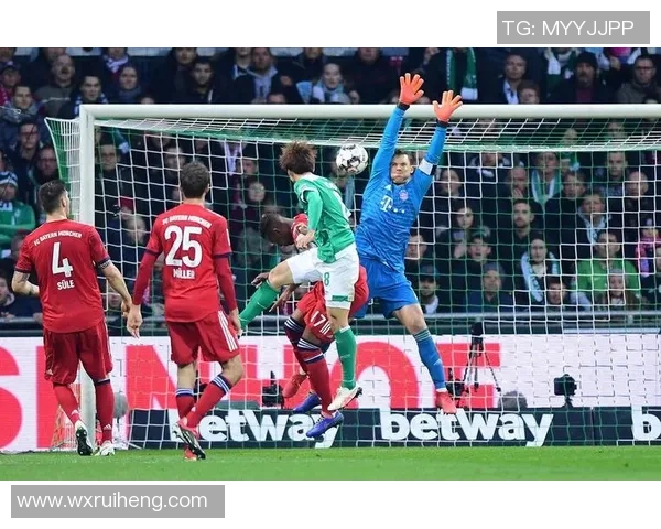 萨默尔认为诺伊尔应参加世界杯科瓦奇有能力带领多特蒙德夺冠