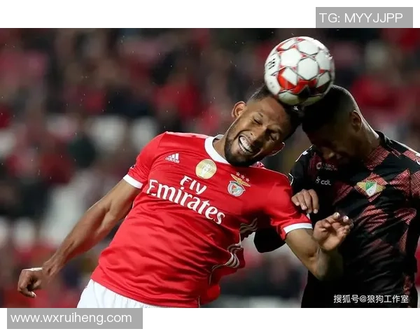 本赛季前十联赛仅五队保持不败拜仁费内巴切波尔图本菲卡领衔