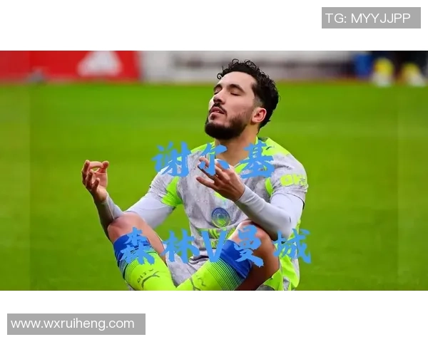 谢尔基转会费高达3650万欧英超近6轮场均评分最高达795分